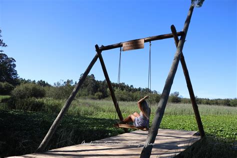 balancoire portugal|Ladeira panoramic swing • Center of Portugal